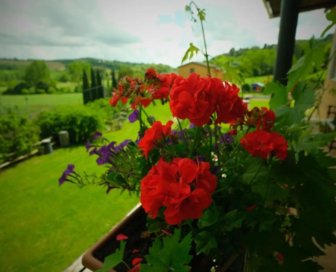 Agriturismo Sant'Agostino San Giovanni d'Asso