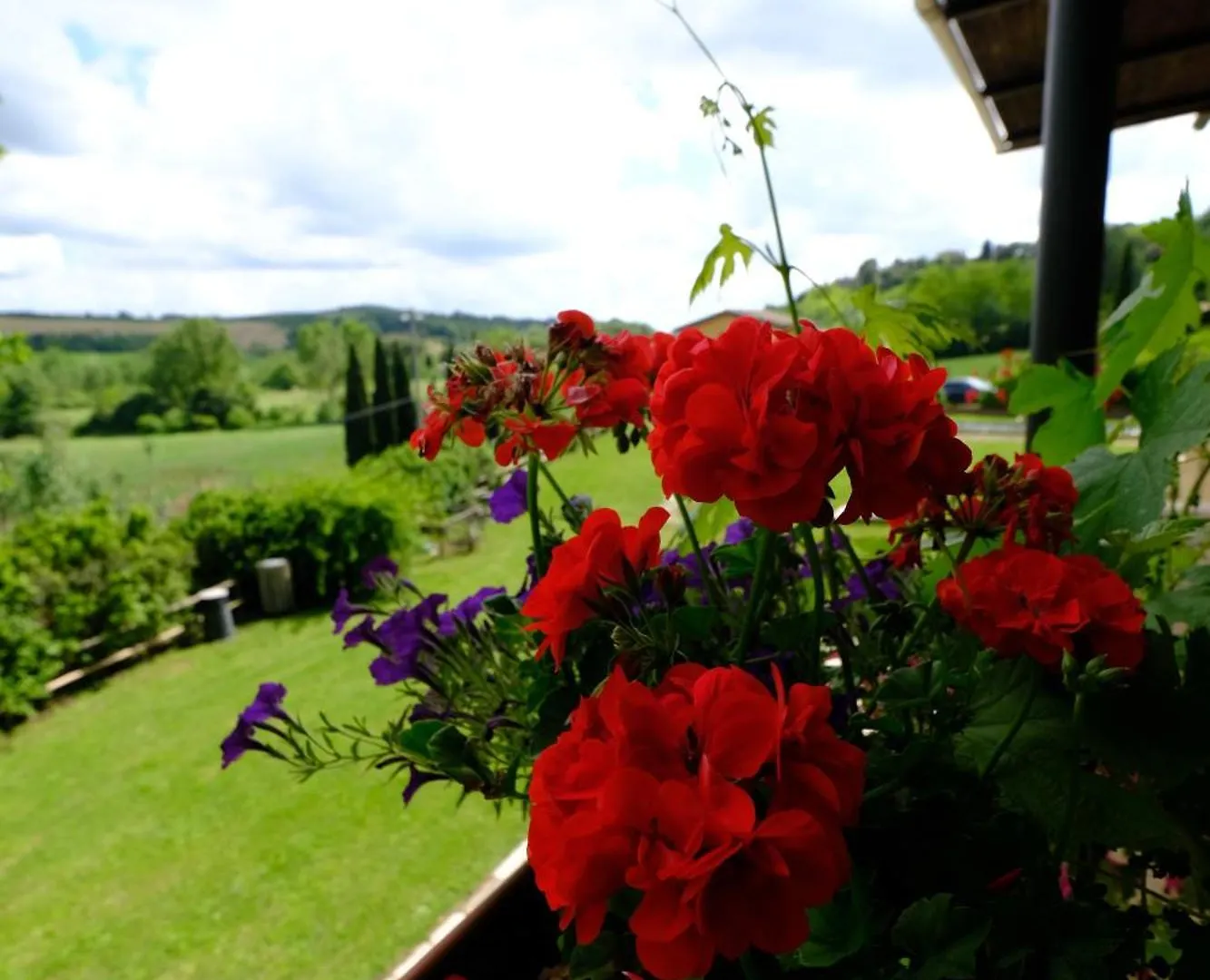 Agriturismo Sant'Agostino San Giovanni d'Asso 0*,  Italy